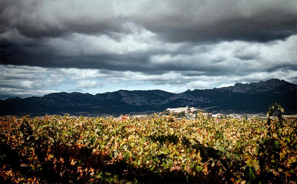 Cinco planes en La Rioja para brindar bajo el eclipse