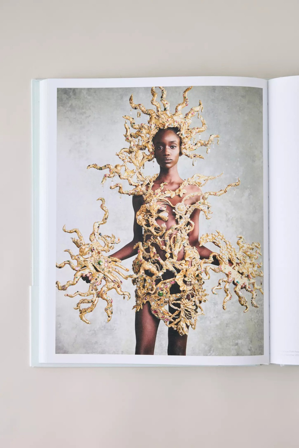 Schiaparelli Anglomaniac, el libro sobre el mundo de Elsa