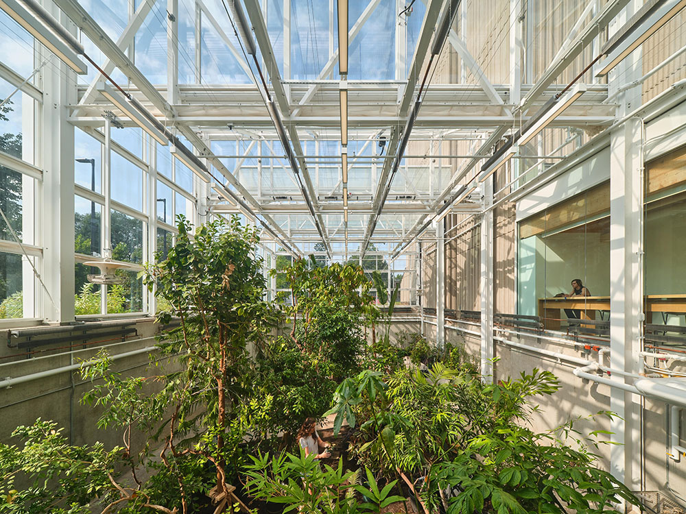 Un invernadero de Moriyama Teshima Architects para aprender