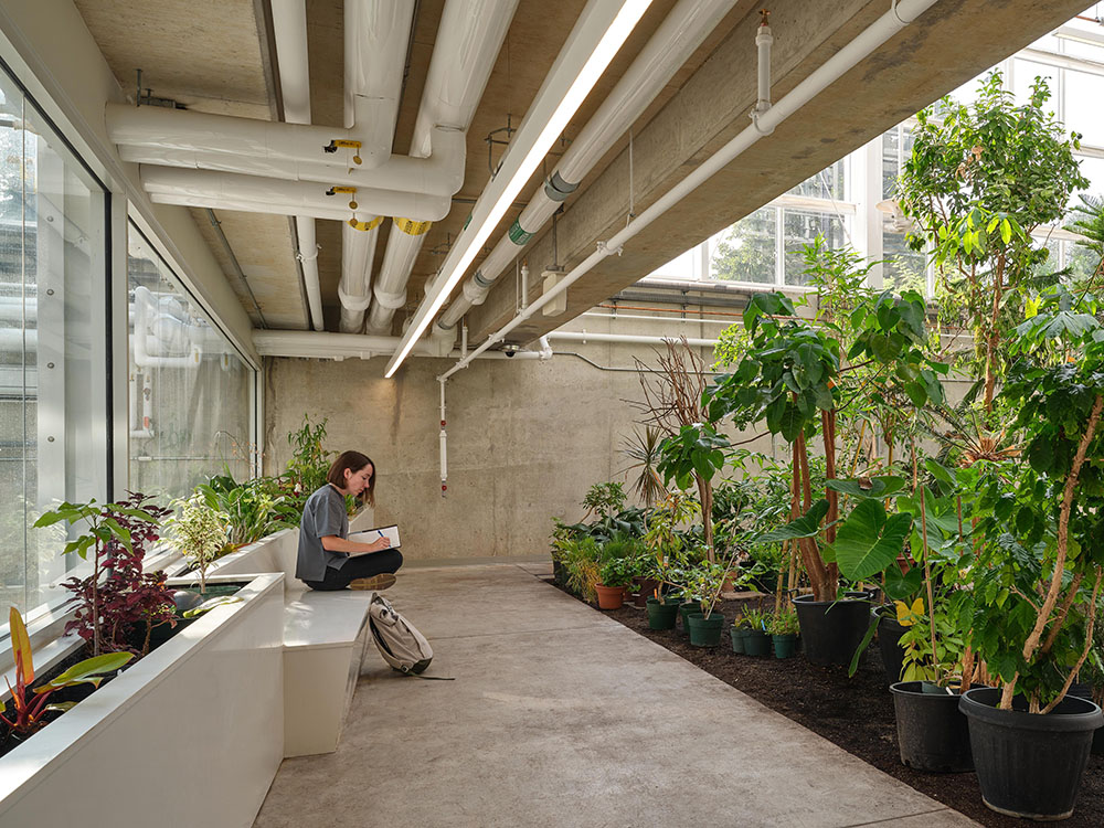 Un invernadero de Moriyama Teshima Architects para aprender