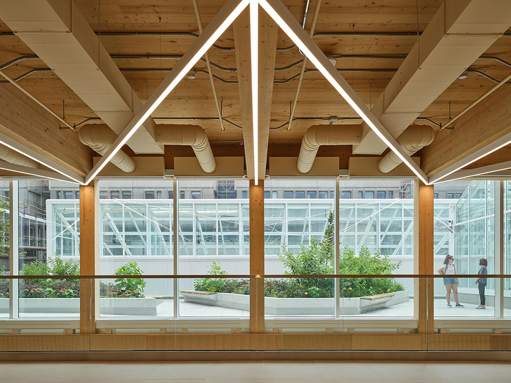 Un invernadero de Moriyama Teshima Architects para aprender