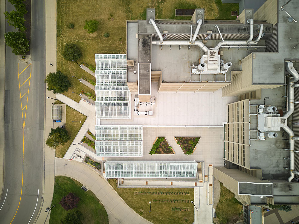 Un invernadero de Moriyama Teshima Architects para aprender