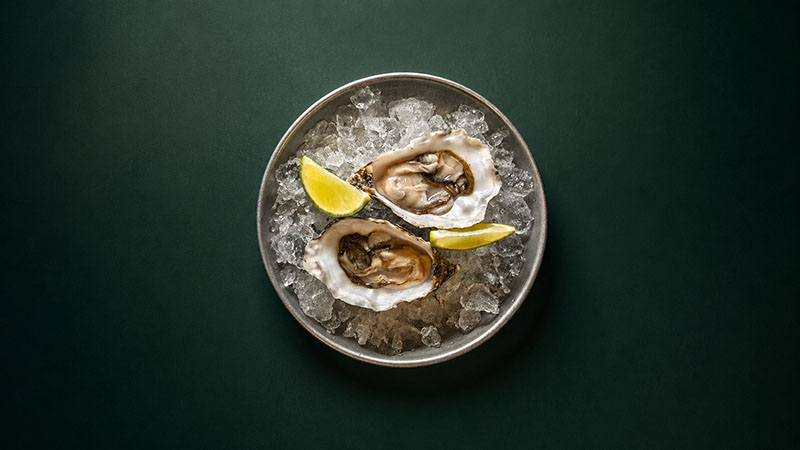 Terry's Bar inaugura una nueva era gastronómica en Madrid