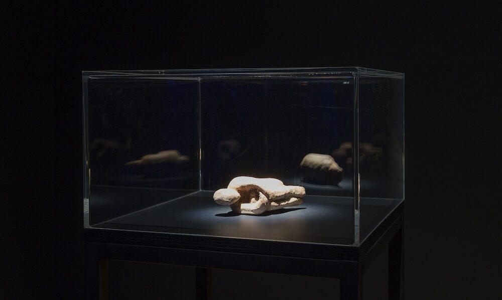 18ª Bienal de arte contemporáneo de Lyon. Sueños y pasajes