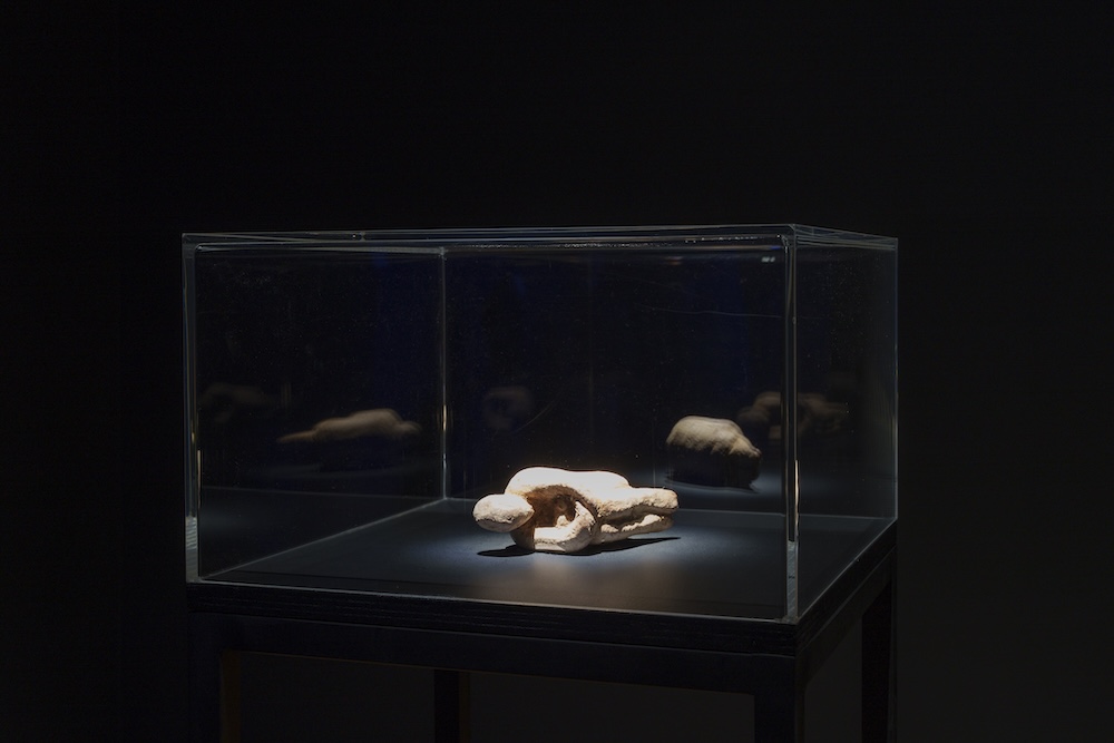 18ª Bienal de arte contemporáneo de Lyon. Sueños y pasajes