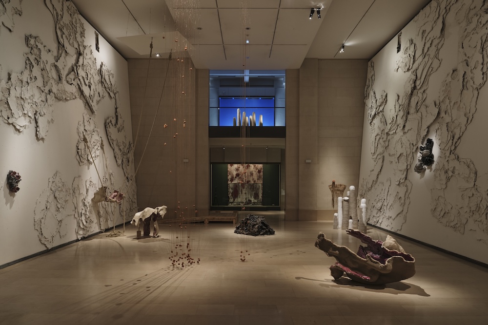 18ª Bienal de arte contemporáneo de Lyon. Sueños y pasajes