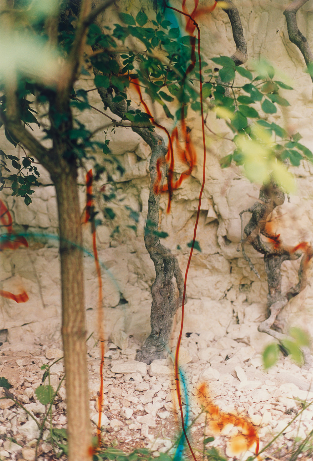 Wolfgang Tillmans, Glade y el arte de mirar