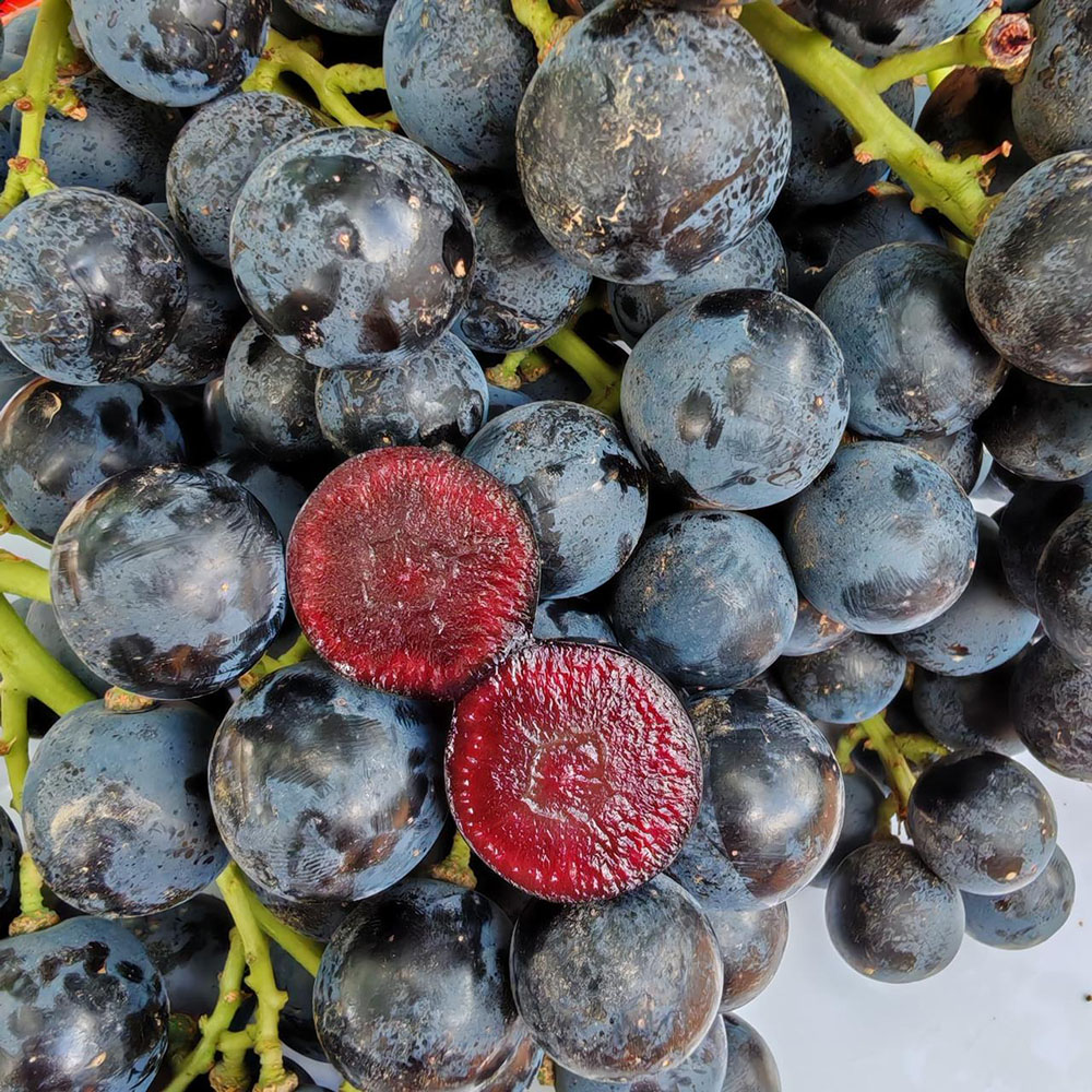 Boombites: la deliciosa uva de pulpa roja que debes probar