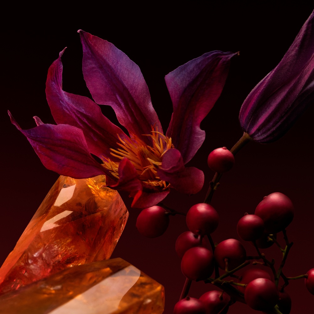BOSS The Scent Elixir: los perfumes para una power couple