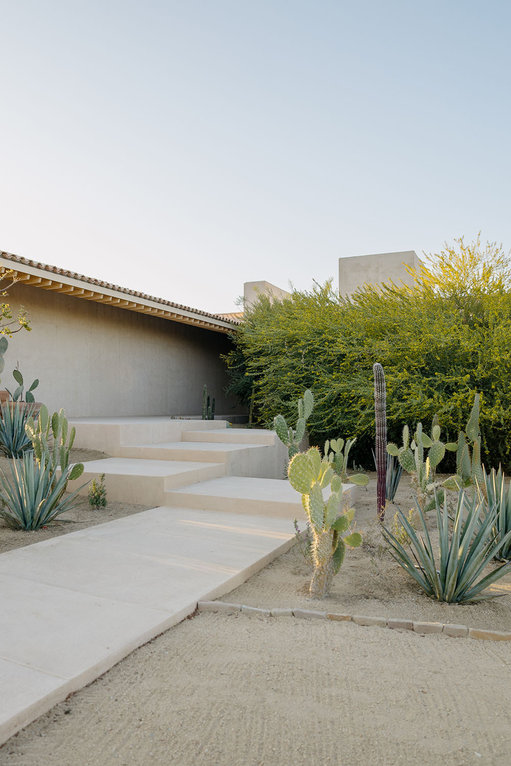 Casa en Palmilla: cuatro piezas reunidas por el paisaje