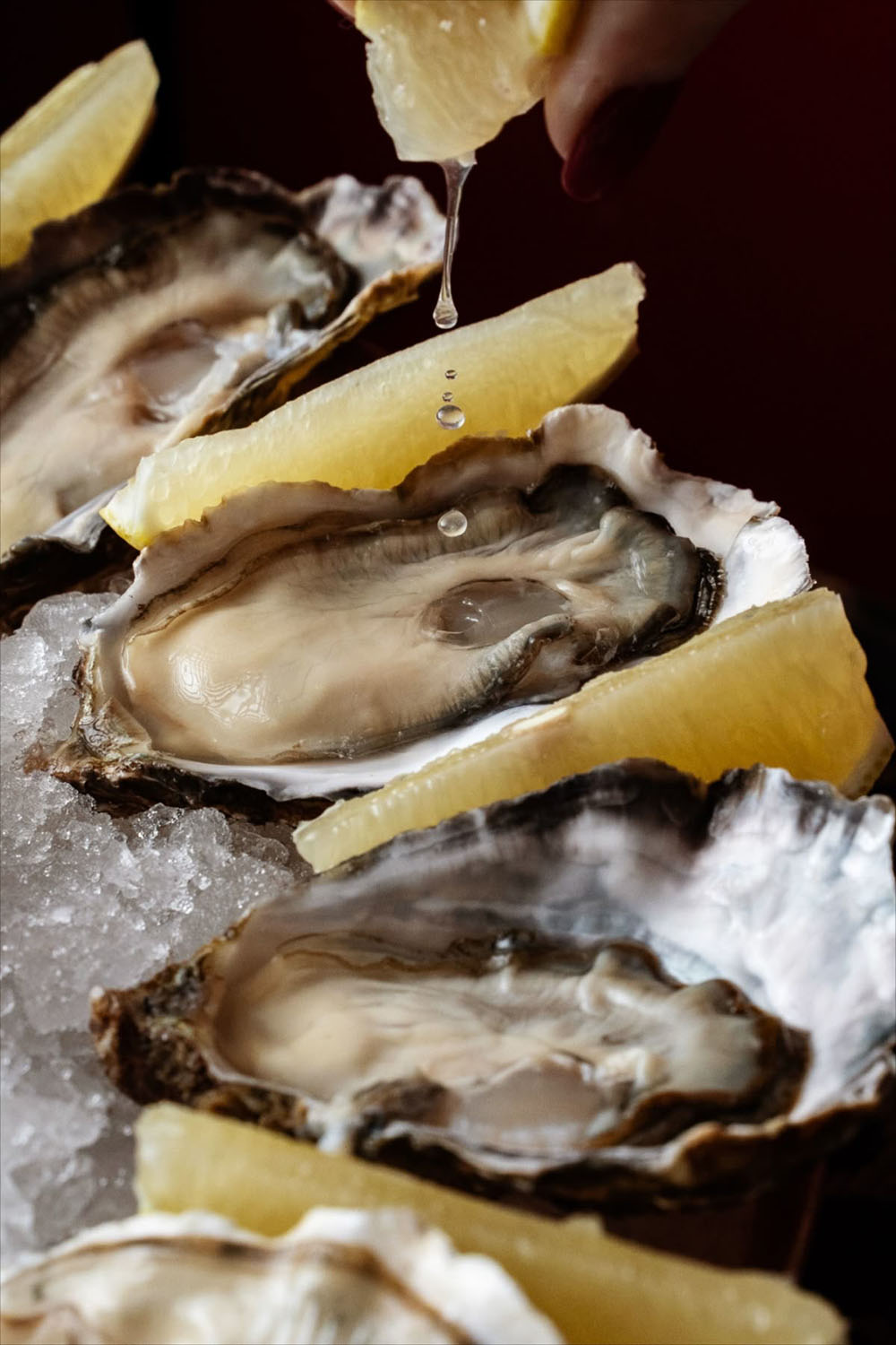 Oyster Bar frente al Mediterráneo en Hospes Maricel & Spa