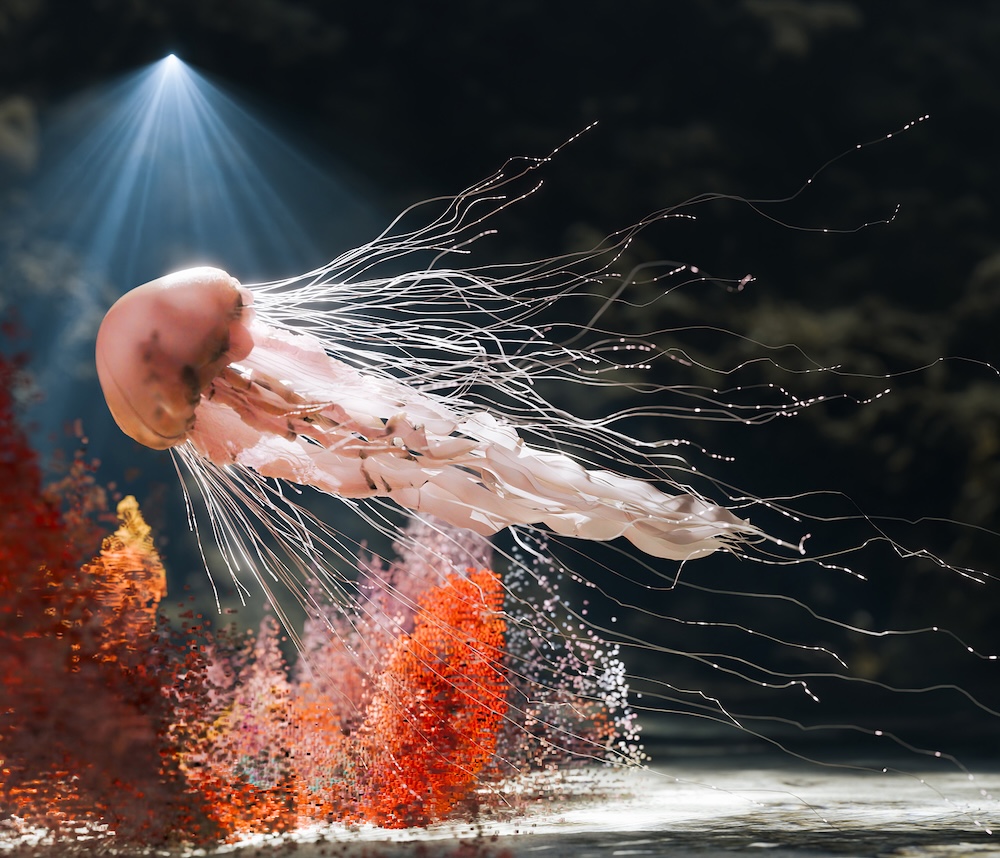 Coreografías de la Materia: escultura expandida en Efímera