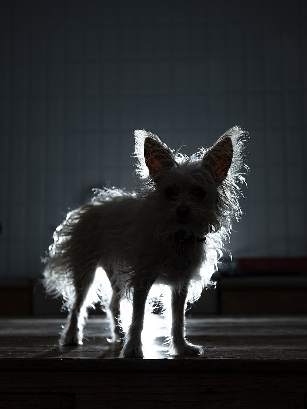 Apoteosis Now: cuando una fotografía no cuenta la verdad