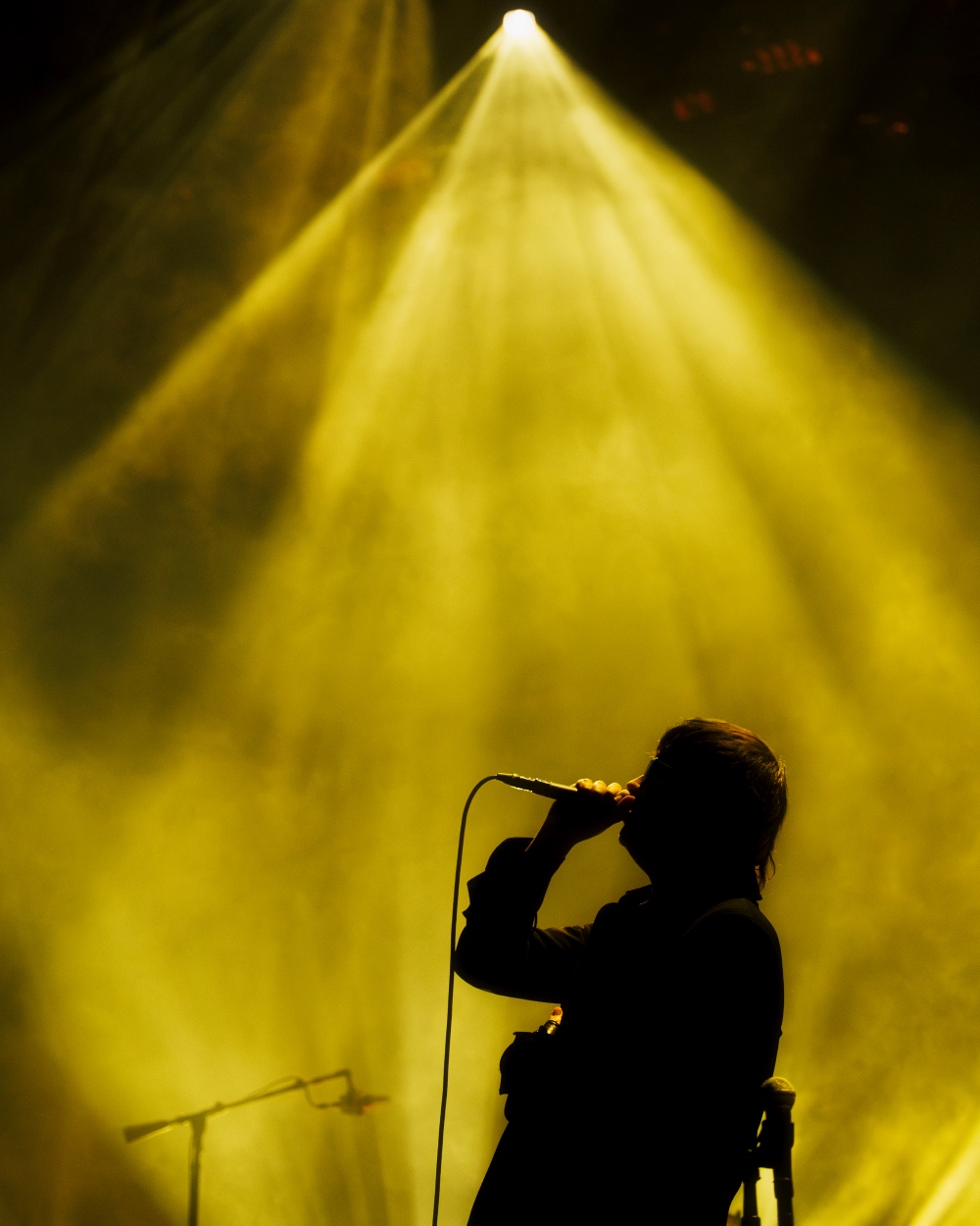 The Strokes arrasan en su único concierto en España en 2026