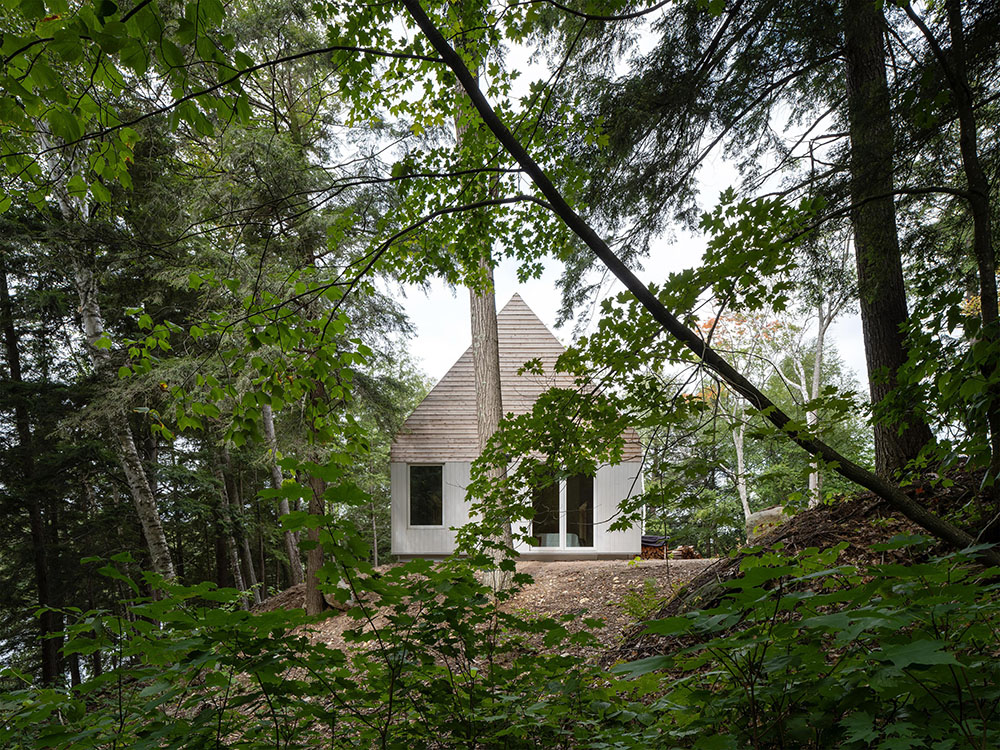 DogTrot Magnetawan, clásico vivo de Williamson Williamson