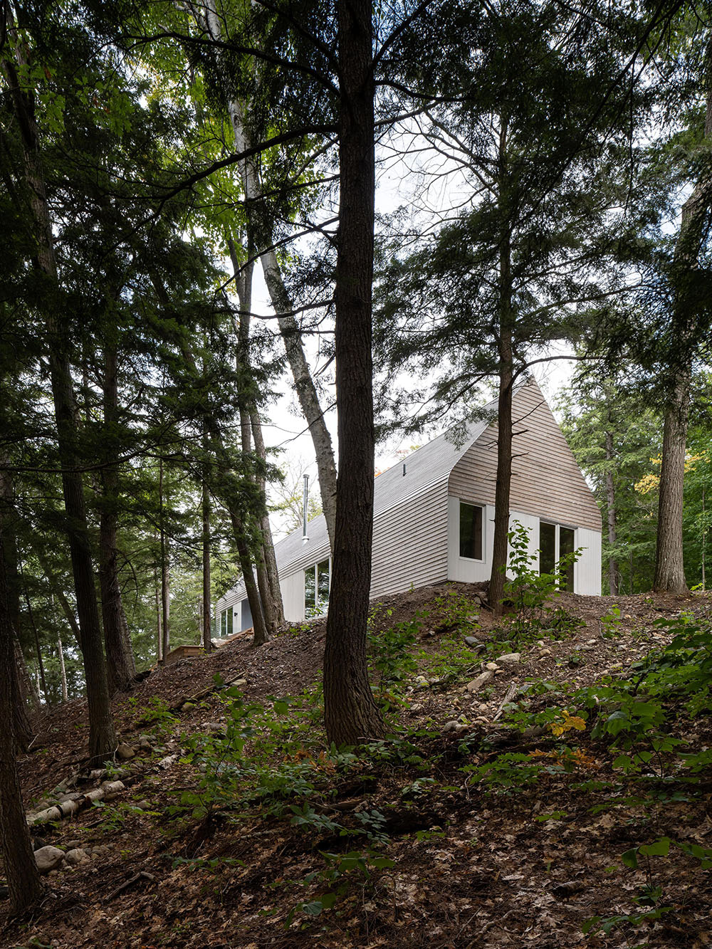 DogTrot Magnetawan, clásico vivo de Williamson Williamson