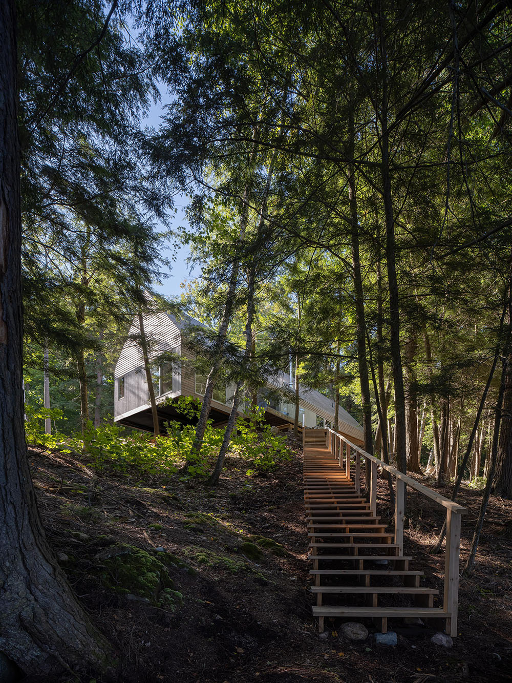 DogTrot Magnetawan, clásico vivo de Williamson Williamson