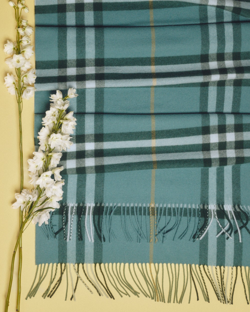 Burberry vuelve a los Highgrove Gardens para FW26
