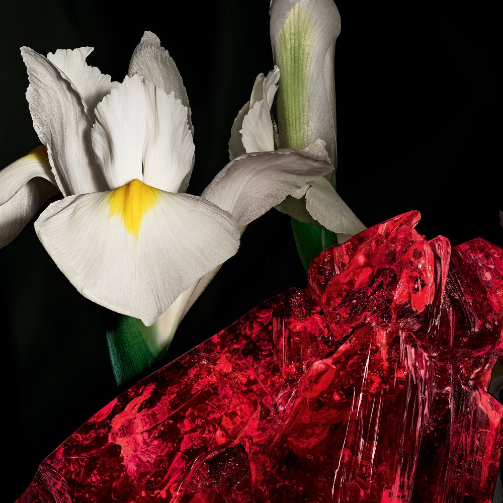 YSL Beauty rinde homenaje al diseñador con un aroma cálido