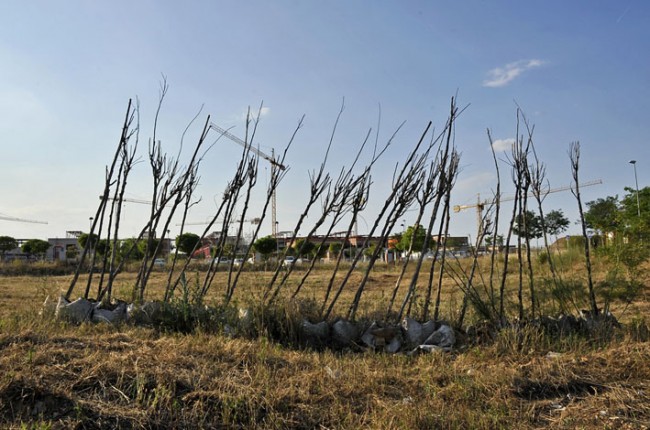 33-arboles-muertos 33 ARBOLES MUERTOS