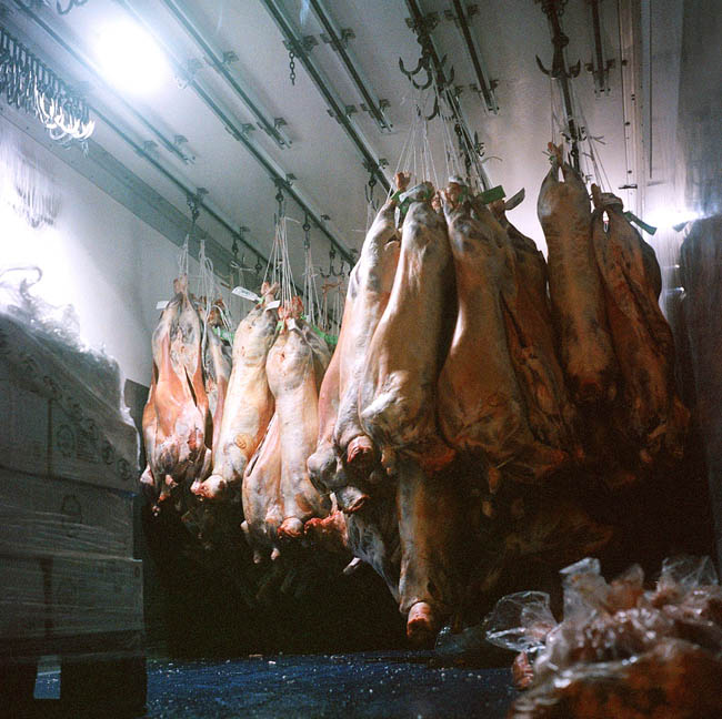 5 Leandro Quintero AURIGA.CO & LEANDRO QUINTERO