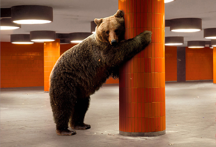 67a Berlinale International de Cine de Berlín