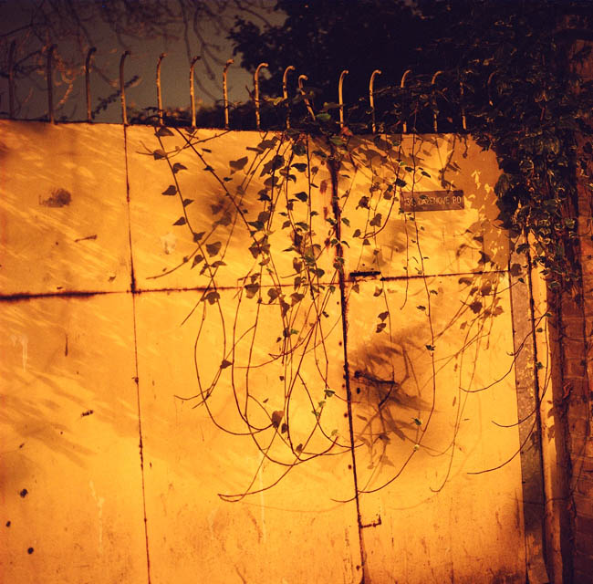 7 Leandro Quintero AURIGA.CO & LEANDRO QUINTERO