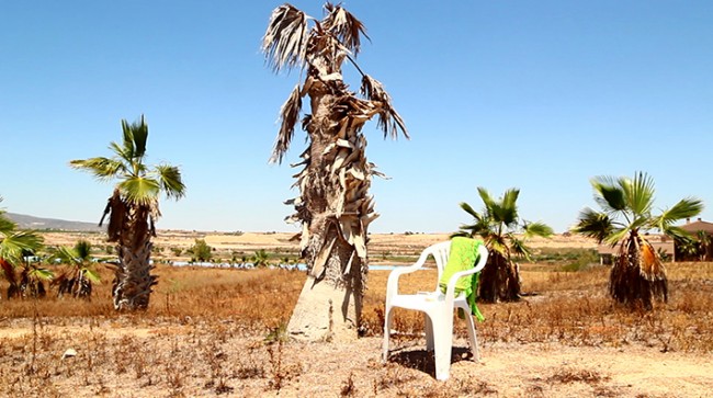 A Cartography of Fantasia