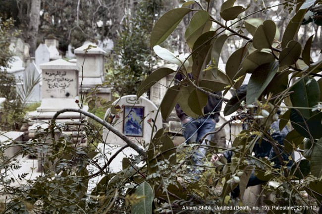 Ahlam Shibli 2 2 EXPOS EN EL MACBA
