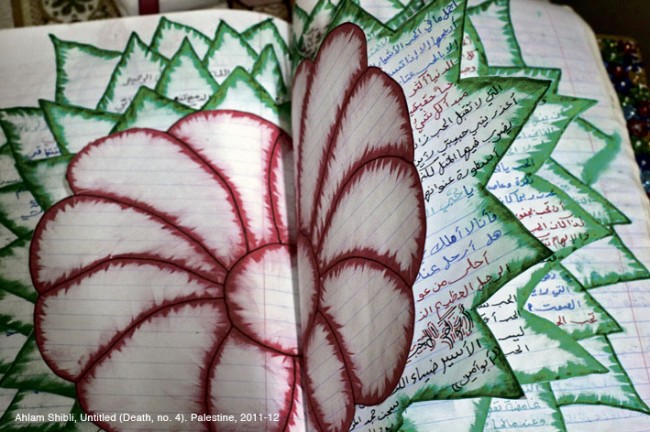 Ahlam Shibli 3 2 EXPOS EN EL MACBA