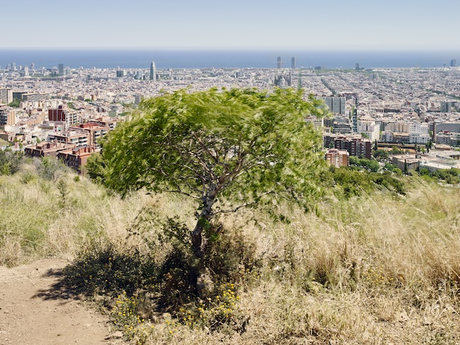 Alrededor del sueño (5)