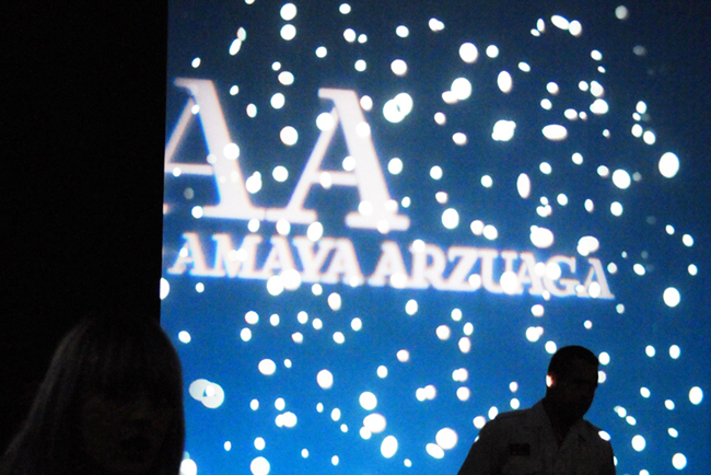 Amaya Arzuaga-00 AMAYA ARZUAGA 2013