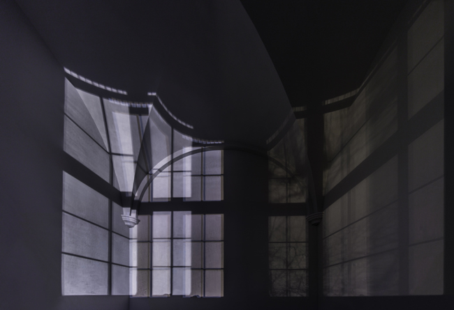 Ballester4_Neo2 BOSQUES DE LUZ por BALLESTER