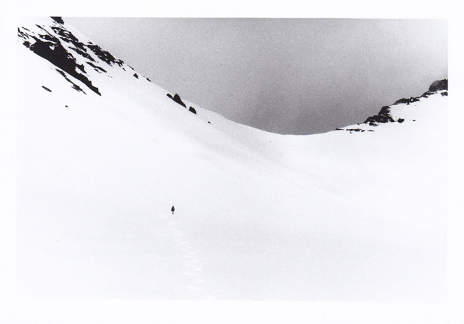 Carla Andrade_absolut ABSOLUT// COLLECTION con los EMERGENTES