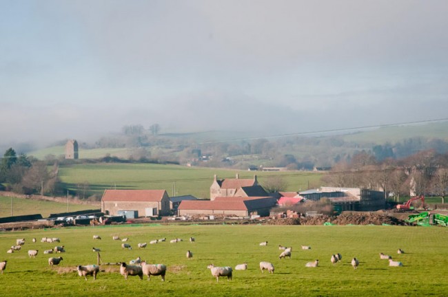 ¿A  DÓNDE VA EL ARTE?