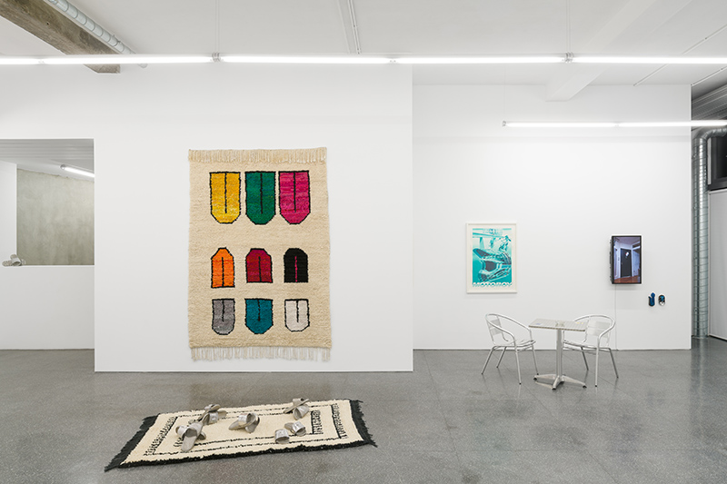Josep Maynou en Lehmann + Silva Gallery