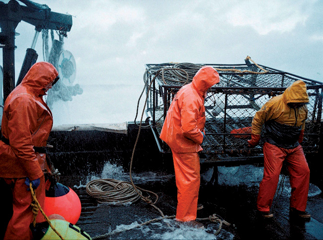 Pesca Radical 100% EXTREMO