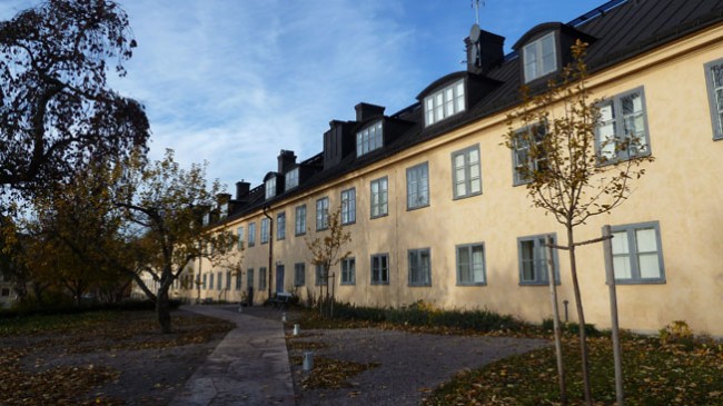 ABSOLUT + RIRKRIT TIRAVANIJA