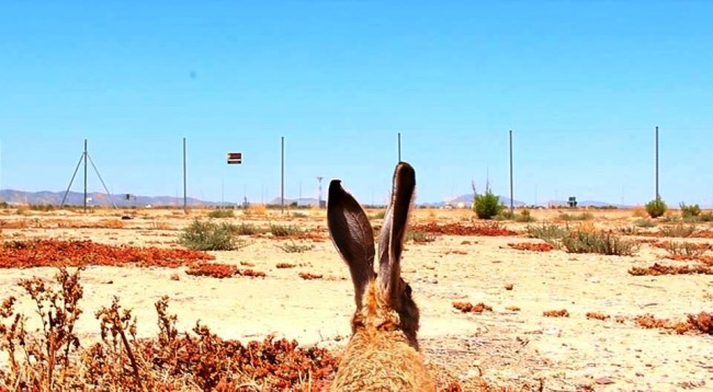 A Cartography of Fantasia