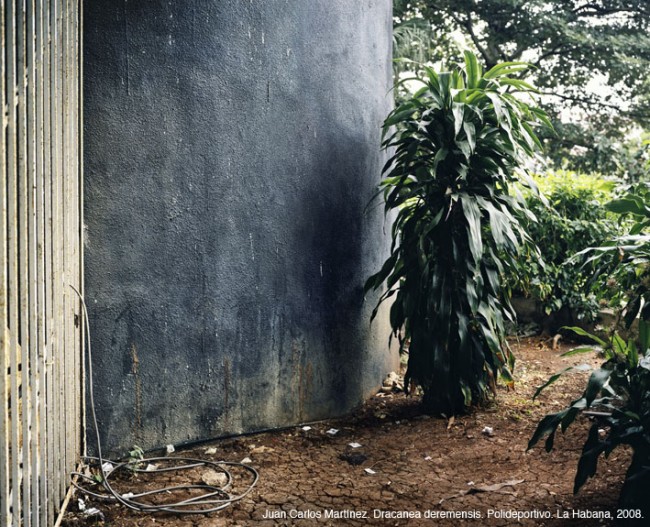 BOTANICA. AFTER HUMBOLDT