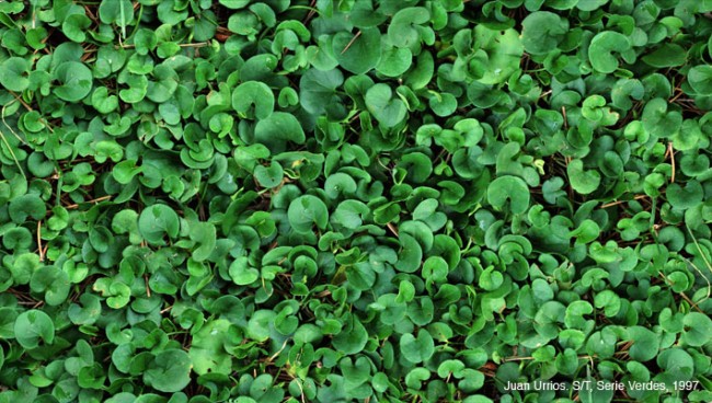 BOTANICA. AFTER HUMBOLDT