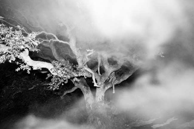 foto chicos desnudos en un arbol