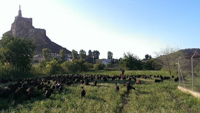 ALIBABA PHOTO FESTIVAL