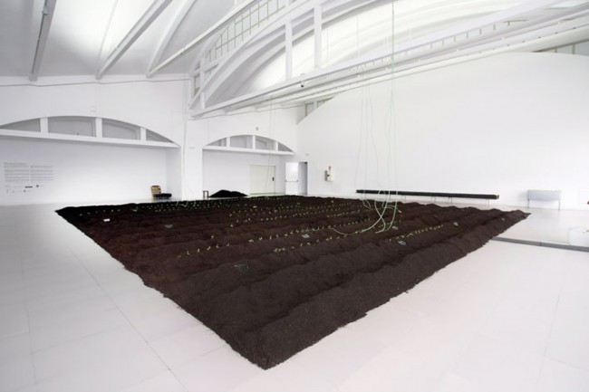 alicia-jimenez-12 ALICIA JIMENEZ