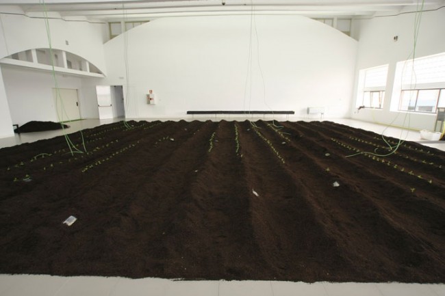 alicia-jimenez-13 ALICIA JIMENEZ