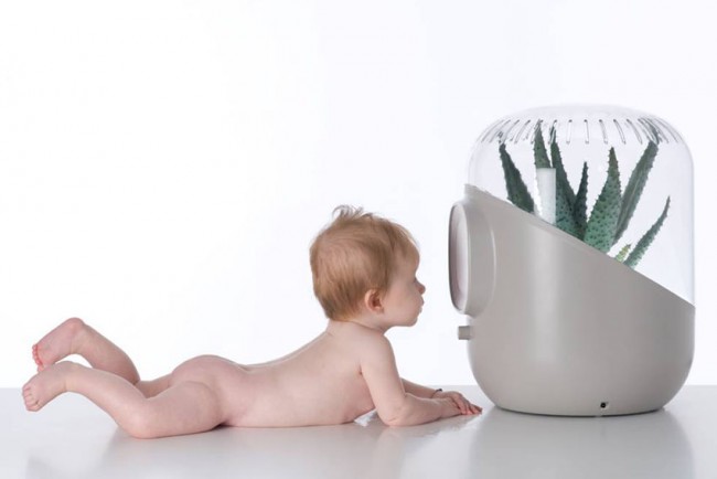 ANDREA PURIFICADOR DE AIRE