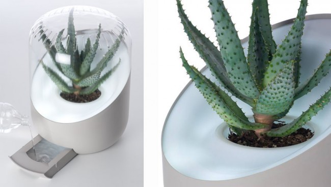 ANDREA PURIFICADOR DE AIRE