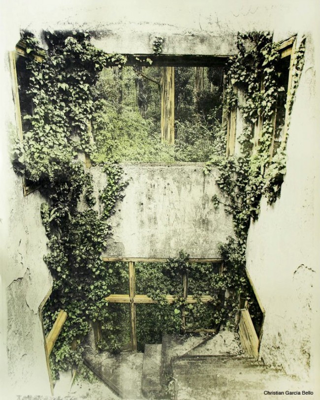 ARTEC PRIMAVERA 2012