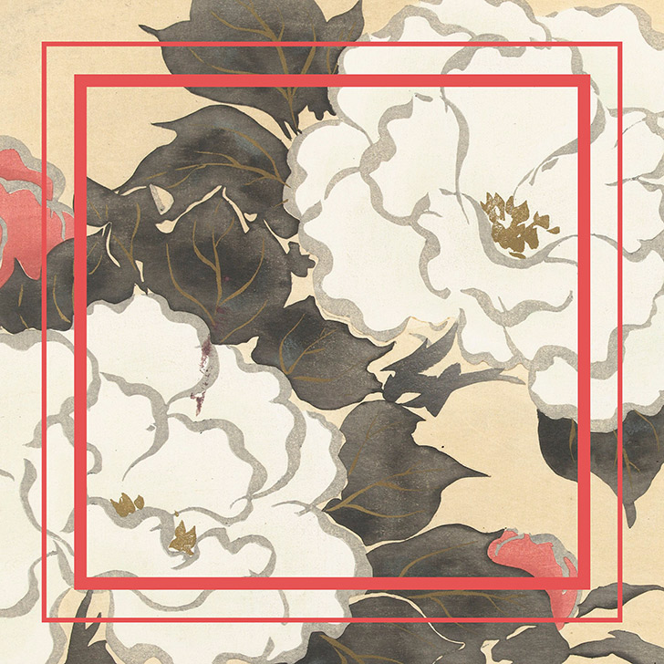 Avellaneda Primavera Verano 2017