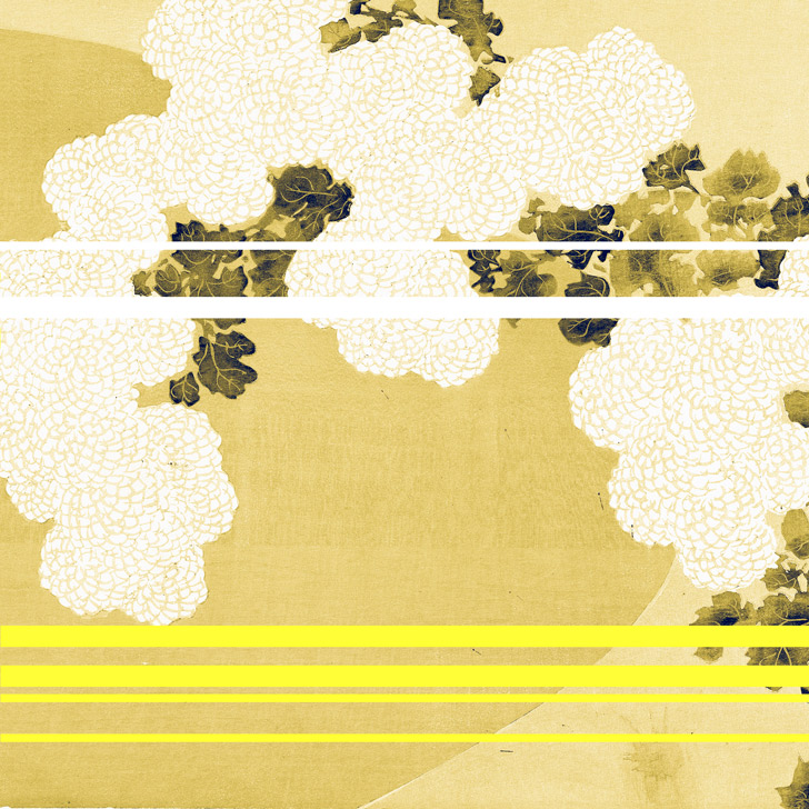 Avellaneda Primavera Verano 2017